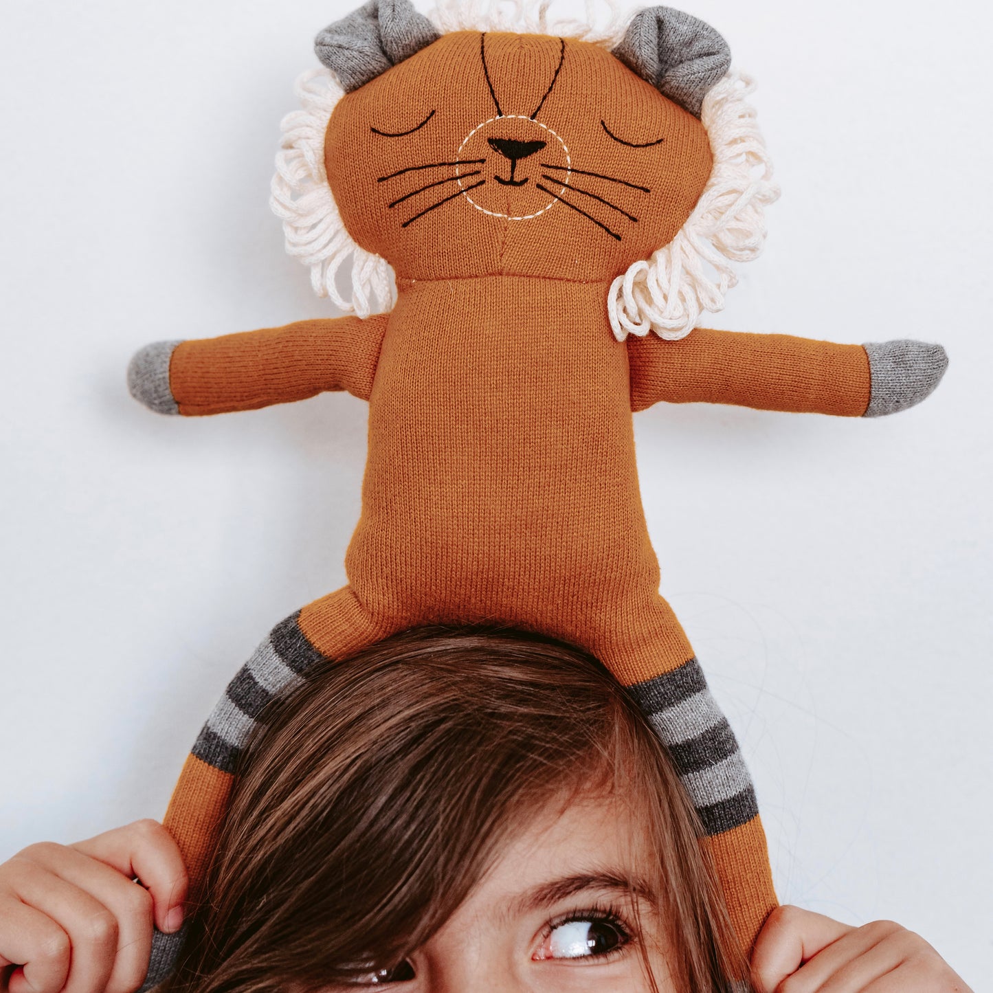 Archie the lion, soft plush toy