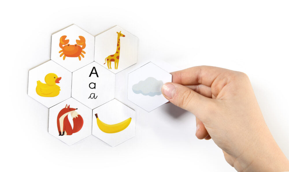 La Ruche des Sons Magnetic Learning Game - French Language Vowel Phonology Toy for Kids