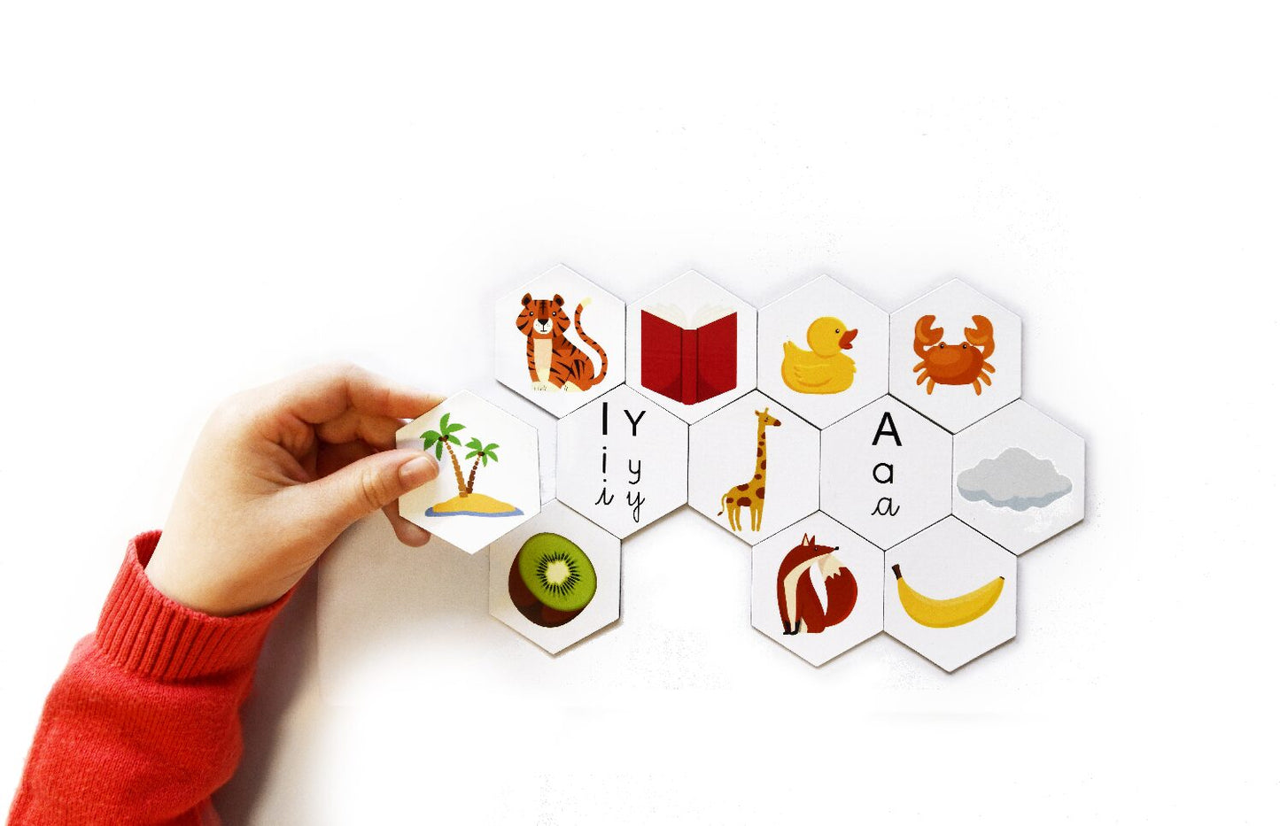 La Ruche des Sons Magnetic Learning Game - French Language Vowel Phonology Toy for Kids